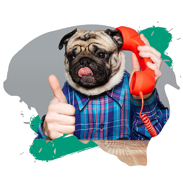 A person with a pug face giving a thumbs up while talking on the phone.