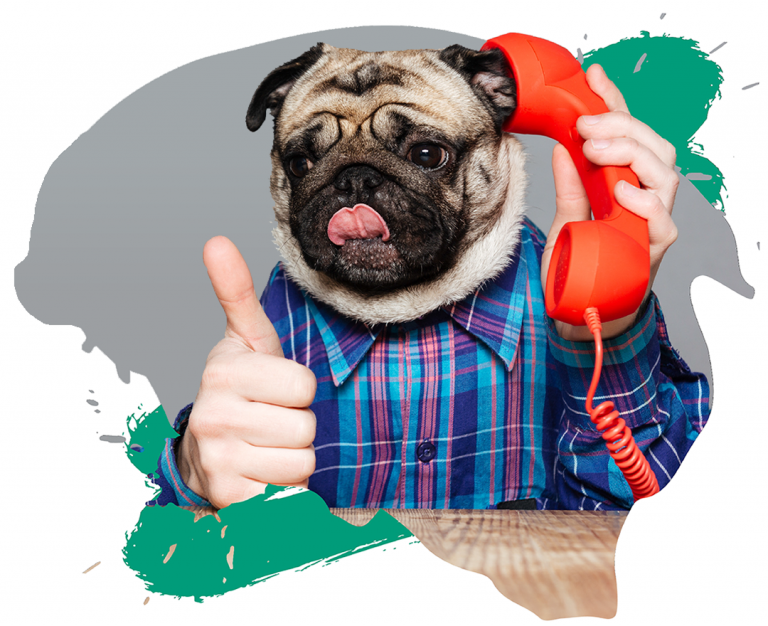 A person with a pug face giving a thumbs up while talking on the phone.